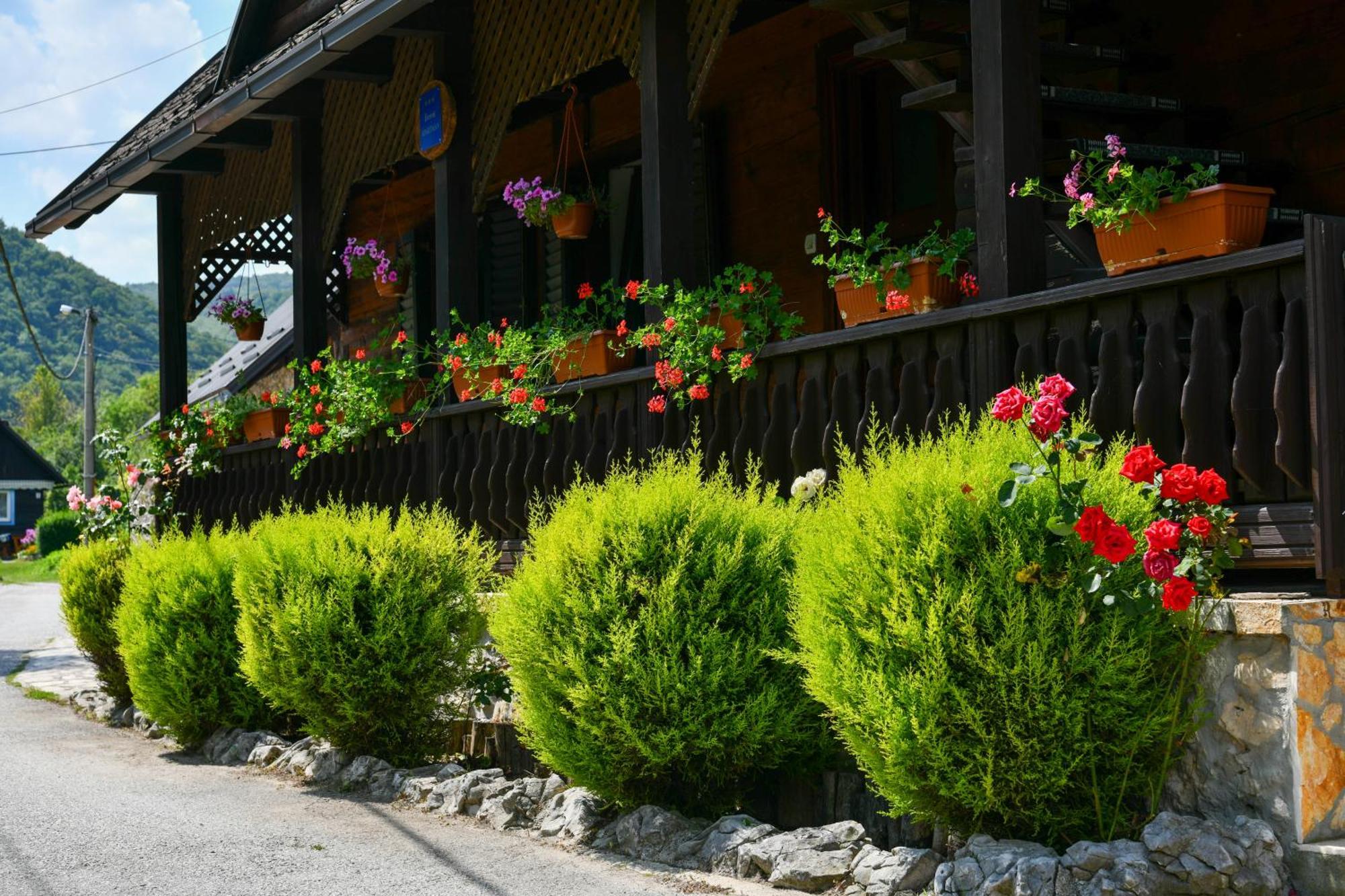 Guest House Martin Korana ภายนอก รูปภาพ